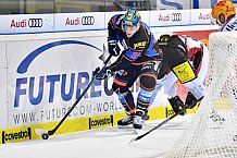 ERC Ingolstadt vs Fischtown Pinguins, Eishockey, DEL, Deutsche Eishockey Liga, Spieltag 16, 25.10.2017