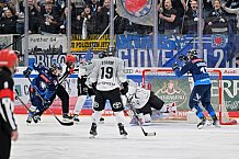 Eishockey, Herren, DEL, Saison 2024-2025, Spieltag 36, ERC Ingolstadt - Kölner Haie, 12.01.2025
