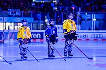 Eishockey, Herren, DEL, Saison 2025-2026, Spiel 51, ERC Ingolstadt - Augsburger Panther, 13.03.2026