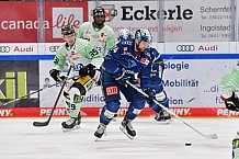 Eishockey, Herren, DEL, Saison 2021-2022, Spieltag 35, ERC Ingolstadt - Bietigheim Steelers, 30.03.2022
