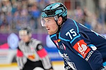 Hockey, Mens, CHL, Season 2025-2026, Regular Season, Game Day 2, ERC Ingolstadt - Kalpa Kuopio, 30.08.2025