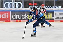Eishockey, Herren, DEL, Saison 2024-2025, Spieltag 14, ERC Ingolstadt - Löwen Frankfurt, 31.10.2024