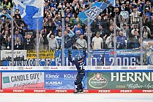 Eishockey, Herren, DEL, Saison 2024-2025, Spieltag 17, ERC Ingolstadt - Adler Mannheim, 17.11.2024