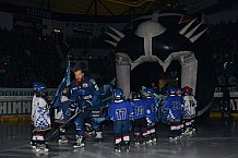 ERC Ingolstadt vs Straubing Tigers, Eishockey, DEL, Deutsche Eishockey Liga, 22.12.2015