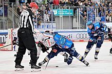 Eishockey, Herren, DEL, Saison 2025-2026, Spiel 47, ERC Ingolstadt - Nürnberg Ice Tigers, 01.03.2026