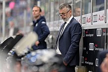 Eishockey, Herren, DEL, Saison 2024-2025, Vorbereitung, ERC Ingolstadt - Dresdner Eislöwen, 18.08.2024