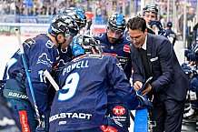 Eishockey, Herren, DEL, Saison 2024-2025, Spieltag 41, ERC Ingolstadt - Eisbären Berlin, 26.02.2025