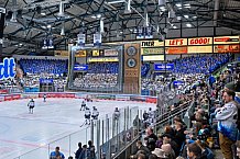 Eishockey, Herren, DEL, Saison 2023-2024, Spieltag 39, ERC Ingolstadt - Iserlohn Roosters, 19.01.2024