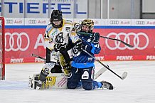 Eishockey, Frauen, DFEL, Saison 2024-2025, ERC Ingolstadt - Mad Dogs Mannheim, 23.11.2024