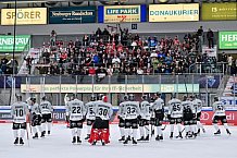 Eishockey, Herren, DEL, Saison 2024-2025, Spieltag 42, ERC Ingolstadt - Kölner Haie, 31.01.2025