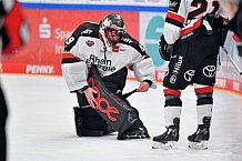 Eishockey, Herren, DEL, Saison 2021-2022, Playoffs - 1. Runde, Spiel 2, ERC Ingolstadt - Kölner Haie, 07.04.2022