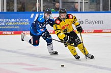 Eishockey, Herren, U20 DNL, Saison 2025-2026, ERC Ingolstadt - Krefeld Pinguine, 10.01.2026