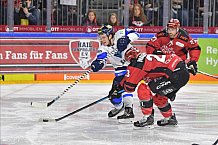 Koelner Haie vs ERC Ingolstadt, DEL, Deutsche Eishockey Liga, Playoffs, Viertelfinale, Spiel 7, 31.03.2019