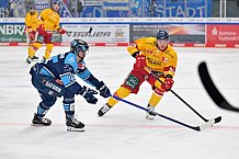 Eishockey, Herren, DEL, Saison 2022-2023, Spieltag 42, ERC Ingolstadt - Düsseldorfer EG, 13.01.2023