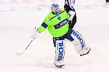 Eishockey, Herren, DEL, Saison 2020-2021, ERC Ingolstadt - Straubing Tigers, 13.02.2021