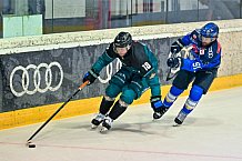 Eishockey, Herren, DEL, Saison 2026-2027, Steinbach Black Wings Linz - ERC Ingolstadt, 23.08.2026