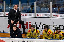 ERC Ingolstadt - Krefeld Pinguine, Eishockey, DEL, Deutsche Eishockey Liga, Spieltag 34, 05.01.2016, Foto: st-foto.de / Oliver STRISCH