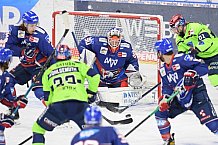 Eishockey, Herren, DEL, Saison 2020-2021, Adler Mannheim - ERC Ingolstadt, 15.02.2021