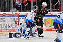 Eishockey, Herren, DEL, Saison 2024-2025, Playoffs Viertelfinale, Spiel 1, Nürnberg Ice Tigers - ERC Ingolstadt, 18.03.2025