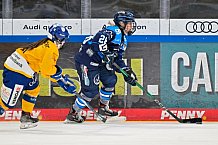 Eishockey, Frauen, DFEL, Saison 2025-2026, Testspiel, ERC Ingolstadt - HC Davos, 14.02.2026