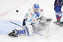 Eishockey, Herren, DEL, Saison 2020-2021, Adler Mannheim - ERC Ingolstadt, 24.01.2021