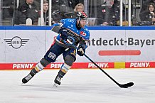 Eishockey, Herren, DEL, Saison 2023-2024, Spieltag 38, ERC Ingolstadt - Adler Mannheim, 14.01.2024
