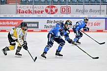 Eishockey, Frauen, DFEL, Saison 2023-2024, ERC Ingolstadt - Mad Dogs Mannheim, 18.02.2024