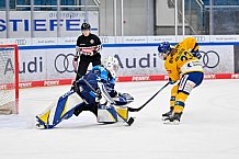 Eishockey, Frauen, DFEL, Saison 2025-2026, Testspiel, ERC Ingolstadt - HC Davos, 14.02.2026