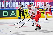 Hockey, Mens, CHL, Season 2025-2026, Regular Season, Game Day 6, ERC Ingolstadt - Odense Bulldogs, 15.10.2025