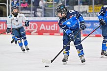 Eishockey, Herren, DEL, Saison 2024-2025, Spieltag 45, ERC Ingolstadt - Iserlohn Roosters, 16.02.2025