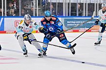 Eishockey, Herren, DEL, Saison 2025-2026, Spiel 23, ERC Ingolstadt - Dresdner Eislöwen, 28.11.2025