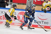 Eishockey, Frauen, DFEL, Saison 2022-2023, ERC Ingolstadt - Mad Dogs Mannheim, 20.11.2022