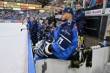 Eishockey, Herren, DEL, Saison 2023-2024, Spieltag 21, ERC Ingolstadt - Iserlohn Roosters, 23.11.2023