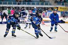 Eishockey, Saison 2025-2026, ERC Ingolstadt - Kids On Ice Day, 29.11.2025