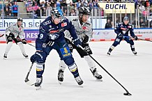 Eishockey, Herren, DEL, Saison 2024-2025, Playoffs Halbfinale, Spiel 5, ERC Ingolstadt - Kölner Haie, 11.04.2025