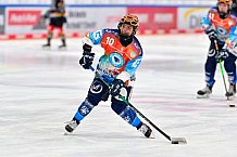 Eishockey, Frauen, DFEL, Saison 2024-2025, ERC Ingolstadt - EC Bergkamener Bären, 05.01.2025