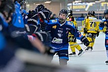 Eishockey, Herren, U20 DNL, Saison 2025-2026, Halbfinale - Spiel 2, ERC Ingolstadt - Krefelder EV 81, 15.03.2026