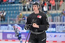 Eishockey, Herren, DEL, Saison 2024-2025, Spieltag 42, ERC Ingolstadt - Kölner Haie, 31.01.2025