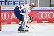 Eishockey, Herren, DEL, Saison 2024-2025, Spieltag 41, ERC Ingolstadt - Eisbären Berlin, 26.02.2025