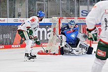 Eishockey, Herren, DEL, Saison 2023-2024, Spieltag 35, ERC Ingolstadt - Augsburger Panther, 05.01.2024