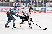 Eishockey, Herren, DEL, Saison 2026-2027, Spieltag 6, ERC Ingolstadt - Kölner Haie, 04.10.2026