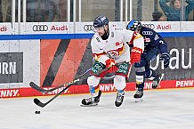 Eishockey, Herren, DEL, Saison 2024-2025, Spieltag 22, ERC Ingolstadt - Düsseldorfer EG, 01.12.2024