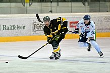 Eishockey, Herren, DEL, Saison 2025-2026, Vinschgau Cup, Spiel 2, Straubing Tigers - HC Pustertal, 23.08.2025