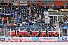Eishockey, Herren, DEL, Saison 2023-2024, Spieltag 5, ERC Ingolstadt - Grizzlys Wolfsburg, 29.09.2023