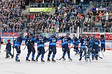 Eishockey, Herren, DEL, Saison 2024-2025, Spieltag 36, ERC Ingolstadt - Kölner Haie, 12.01.2025