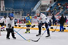 Eishockey, Herren, DEL, Saison 2023-2024, ERC Ingolstadt - Kids on Ice Day, 18.11.2023