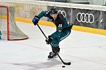 Eishockey, Herren, DEL, Saison 2026-2027, ERC Ingolstadt - HC Verva Litvinov - Steinbach Black Wings Linz, 22.08.2026