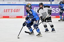 Eishockey, Frauen, DFEL, Saison 2023-2024, ERC Ingolstadt - Amsterdam Tigers, 06.01.2024