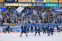 Eishockey, Herren, DEL, Saison 2025-2026, Spiel 47, ERC Ingolstadt - Nürnberg Ice Tigers, 01.03.2026