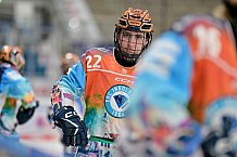 Eishockey, Frauen, DFEL, Saison 2024-2025, ERC Ingolstadt - Mad Dogs Mannheim, 23.11.2024